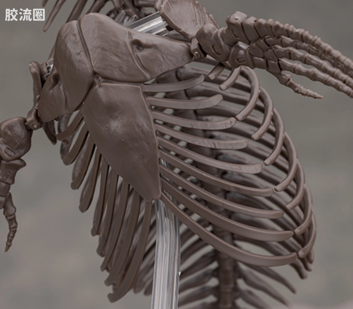 万代综合拼装模型系列 Imaginary Skeleton系列 沧龙 - 图片